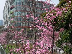 -上海港国际客运中心1号游艇码头