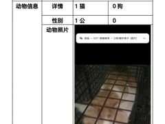 -萌兽医馆·犬猫专科·眼科中心·宠物医院(朝阳门分院)