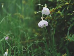 -玄武湖景区-情侣园游乐场