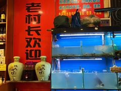水产区-老村长土菜馆(湖墅南路店)