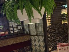 -天山醉美辣子鸡(文艺路店)