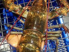 -盒马鲜生(首义店)