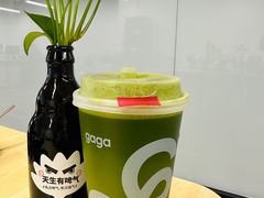-gaga(深圳南山益田假日广场店)