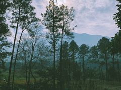 景点-福清灵石山国家森林公园