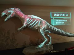 -自贡恐龙博物馆