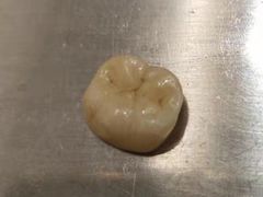 -泰康拜博口腔(世博园乐尔店)