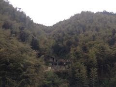 -仙山谷激浪漂流