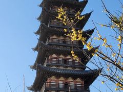 -上海方塔园