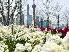 -北外滩滨江绿地
