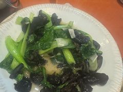 木耳炒上海青-新疆伊宁远征餐厅