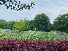 -武汉紫薇都市田园