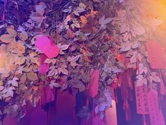 -屋有岛沉浸游戏旗舰店(中山公园店)