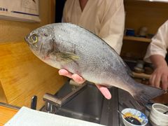 -镹·鱼料理  国产鱼使用店