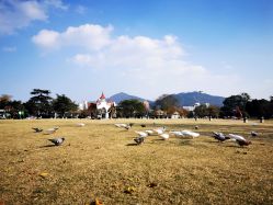 -玄武湖景区-情侣园游乐场