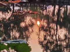 -浙江西子宾馆·牡丹厅