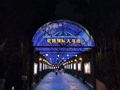 -广州长隆国际大马戏