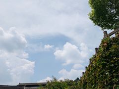 -燊海井