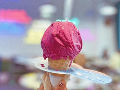 -野人先生现做冰淇淋(西安赛格店)