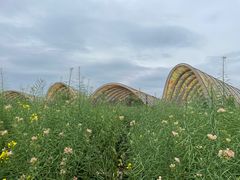 -中国天府农业博览园