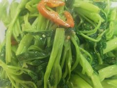 是蔬-张家卫·阳江菜·小海鲜(肥婆湾桥店)