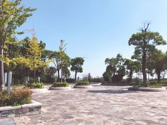 -上海滴水湖皇冠假日酒店