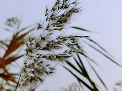 -绿堤公园