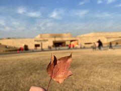 -盘龙城国家考古遗址公园