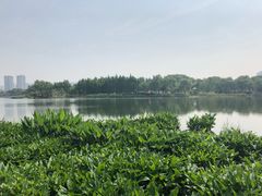 -尚贤河湿地