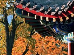 -西海子公园