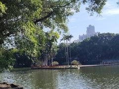 -荔湾湖公园