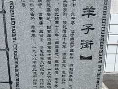 -小吴水煮(羊子巷无任何分店)