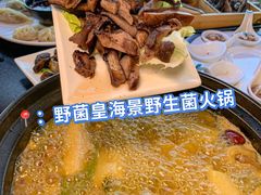 -野菌皇海景野生菌火锅(滨海大道店)