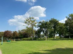 -贡湖湾湿地公园