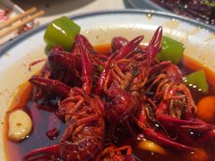 -杨氏青龙虾·羊蝎子(金盛路总店)