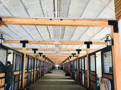 -北京群众马术培训基地