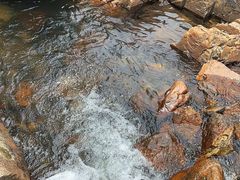 -北仑森林植物园