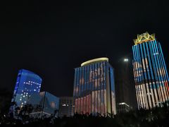 -万绿园