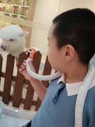-Moni星球萌宠·小马宝莉·灵蛇·高端高阶全萌宠互动体验俱乐部(红豆国际广场店)