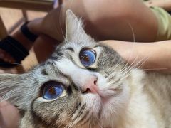 -白兔子密室(长寿路店)