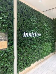 -悦诗风吟innisfree