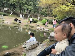 -峙山公园