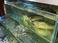 水产区-胖姐渔村(中源大道店)