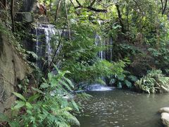 -燕晗山郊野公园