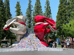 -黄海国家森林公园