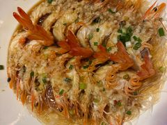 -新白鹿餐厅(百联中环店)