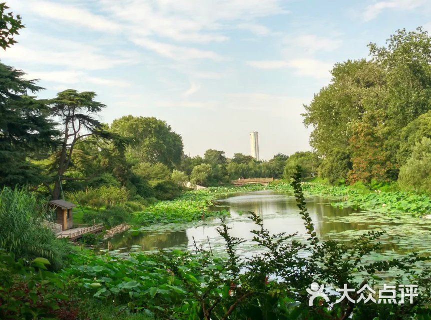 玄武湖公園-20150728_163104_hdr_34圖片-南京周邊遊-大眾點評網