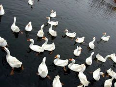 -西安汉城湖景区