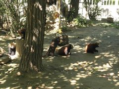 -西安秦岭野生动物园