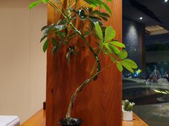 -鸥迪足道(湖南示范店)