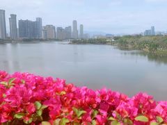 -厦门园林博览苑